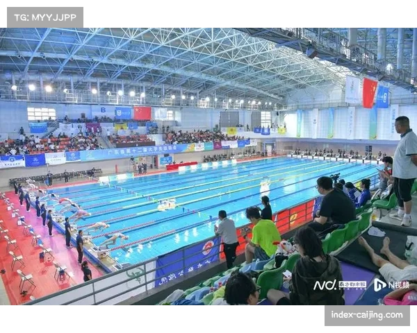 后疫情时代，国际游泳赛事商业价值与上座率恢复情况调查